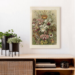 Obraz na płótnie Bukiet kwiatów vintage Ernst Haeckel Reprodukcja obrazu 