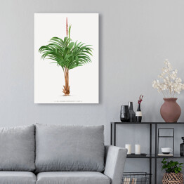 Obraz klasyczny Rozłożyste liście palmy w stylu vintage reprodukcja