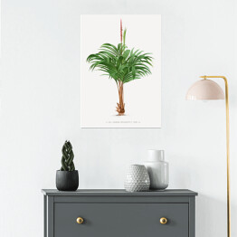 Plakat Rozłożyste liście palmy w stylu vintage reprodukcja