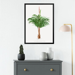 Obraz w ramie Rozłożyste liście palmy w stylu vintage reprodukcja
