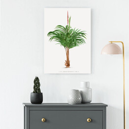 Obraz na płótnie Rozłożyste liście palmy w stylu vintage reprodukcja