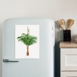 Magnes dekoracyjny Rozłożyste liście palmy w stylu vintage reprodukcja