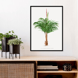 Plakat w ramie Rozłożyste liście palmy w stylu vintage reprodukcja