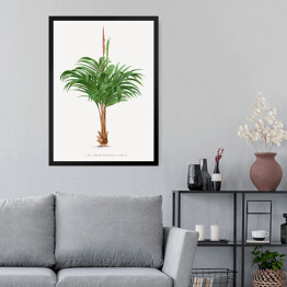 Obraz w ramie Rozłożyste liście palmy w stylu vintage reprodukcja