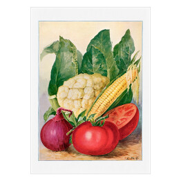Plakat samoprzylepny Warzywa akwarela