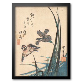 Obraz w ramie Utugawa Hiroshige Irys i wróbel. Reprodukcja obrazu