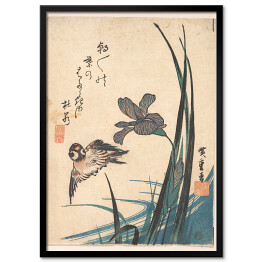 Plakat w ramie Utugawa Hiroshige Irys i wróbel. Reprodukcja obrazu