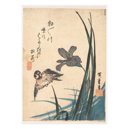 Plakat samoprzylepny Utugawa Hiroshige Irys i wróbel. Reprodukcja obrazu
