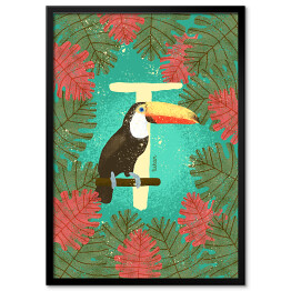 Plakat w ramie Zwierzęcy alfabet - T jak tukan