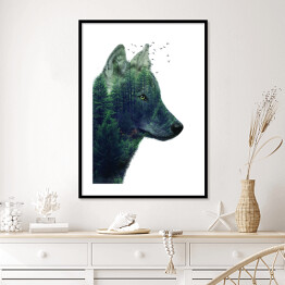 Plakat w ramie Podwójna ekspozycja- wilk i las