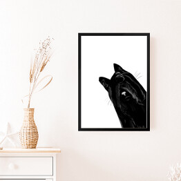 Obraz w ramie Zawstydzony czarny kot