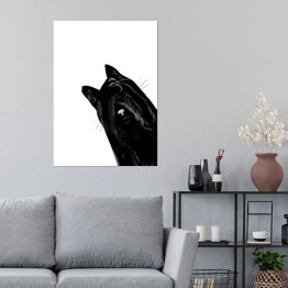 Plakat Zawstydzony czarny kot