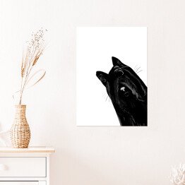 Plakat samoprzylepny Zawstydzony czarny kot
