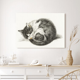 Obraz na płótnie Jean Bernard Zwinięty śpiący kot Reprodukcja