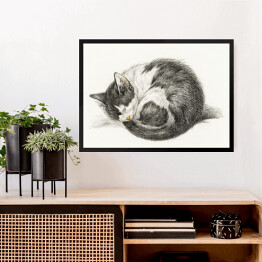 Obraz w ramie Jean Bernard Zwinięty śpiący kot Reprodukcja