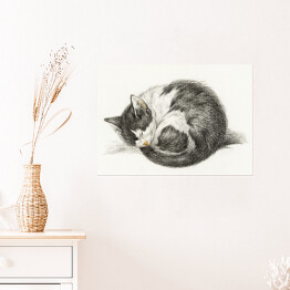 Plakat samoprzylepny Jean Bernard Zwinięty śpiący kot Reprodukcja