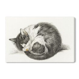 Obraz na płótnie Jean Bernard Zwinięty śpiący kot Reprodukcja