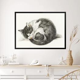 Obraz w ramie Jean Bernard Zwinięty śpiący kot Reprodukcja