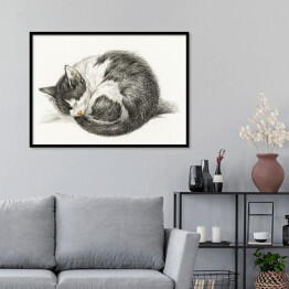 Plakat w ramie Jean Bernard Zwinięty śpiący kot Reprodukcja
