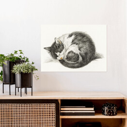 Plakat Jean Bernard Zwinięty śpiący kot Reprodukcja