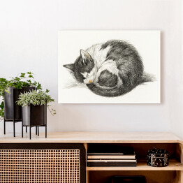 Obraz klasyczny Jean Bernard Zwinięty śpiący kot Reprodukcja