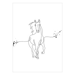 Plakat Koń w galopie - białe konie