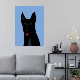 Plakat Czarny pies na niebieskim tle