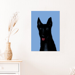 Plakat Czarny pies na niebieskim tle