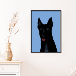 Plakat w ramie Czarny pies na niebieskim tle