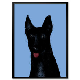 Obraz klasyczny Czarny pies na niebieskim tle