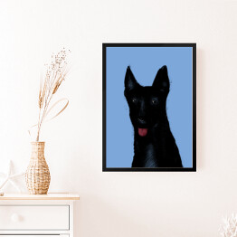 Obraz w ramie Czarny pies na niebieskim tle