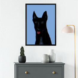 Obraz w ramie Czarny pies na niebieskim tle