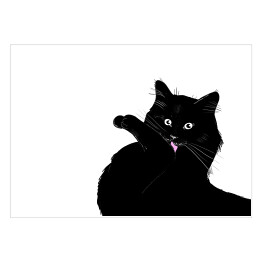 Plakat samoprzylepny Czarny kot myjący łapkę