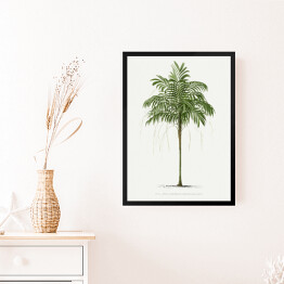 Obraz w ramie Roślinność palma w stylu vintage reprodukcja