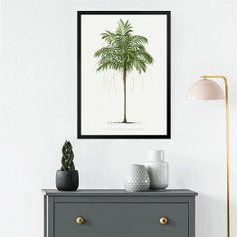 Obraz w ramie Roślinność palma w stylu vintage reprodukcja