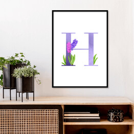 Plakat w ramie Roślinny alfabet - litera H jak hiacynt