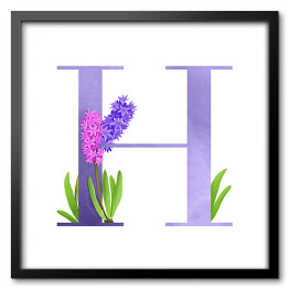 Obraz w ramie Roślinny alfabet - litera H jak hiacynt