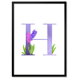 Plakat w ramie Roślinny alfabet - litera H jak hiacynt