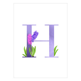 Plakat samoprzylepny Roślinny alfabet - litera H jak hiacynt