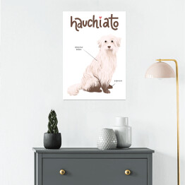 Plakat samoprzylepny Kawa z psem - hauchiato