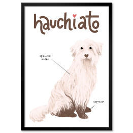 Plakat w ramie Kawa z psem - hauchiato