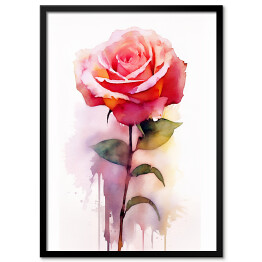 Obraz klasyczny Róża akwarela
