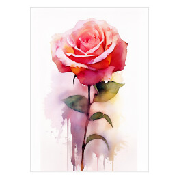 Plakat Róża akwarela