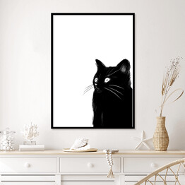 Plakat w ramie Zaskoczony czarny kotek