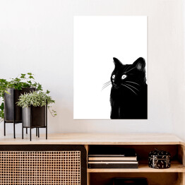 Plakat Zaskoczony czarny kotek