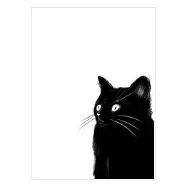 Plakat Zaskoczony czarny kotek