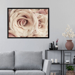 Obraz w ramie Kremowe róże