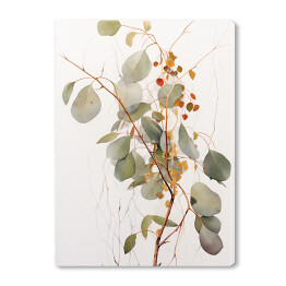 Obraz na płótnie Eukaliptus gałązka akwarela