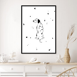 Plakat w ramie Siedzący dalmatyńczyk - minimalistyczna ilustracja