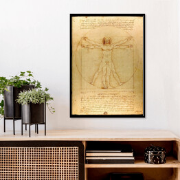 Plakat w ramie Leonardo da Vinci "Człowiek Witruwiański" - reprodukcja